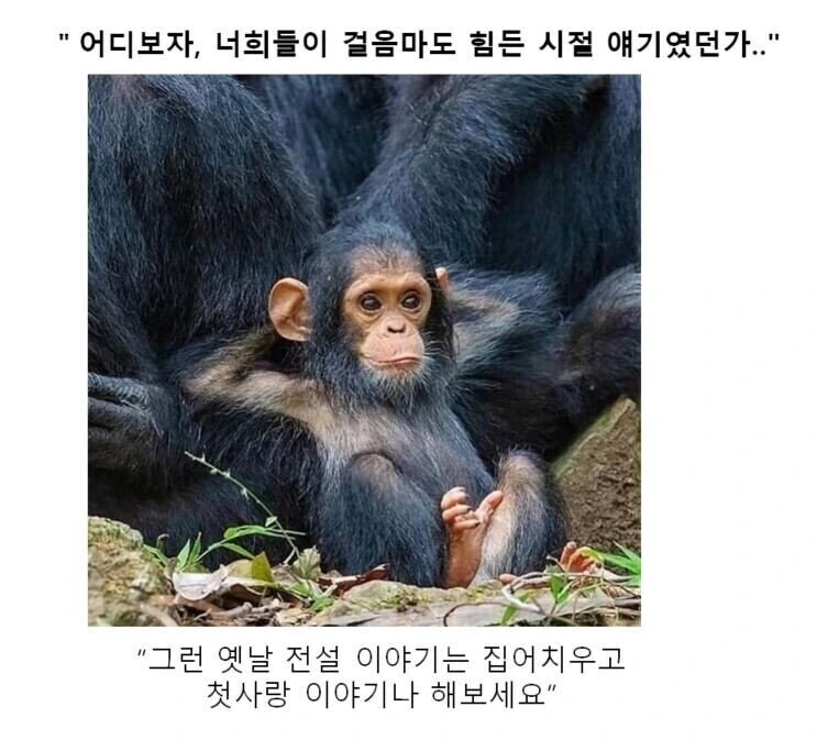 만화대사 클리셰 모음 - 이미지 17