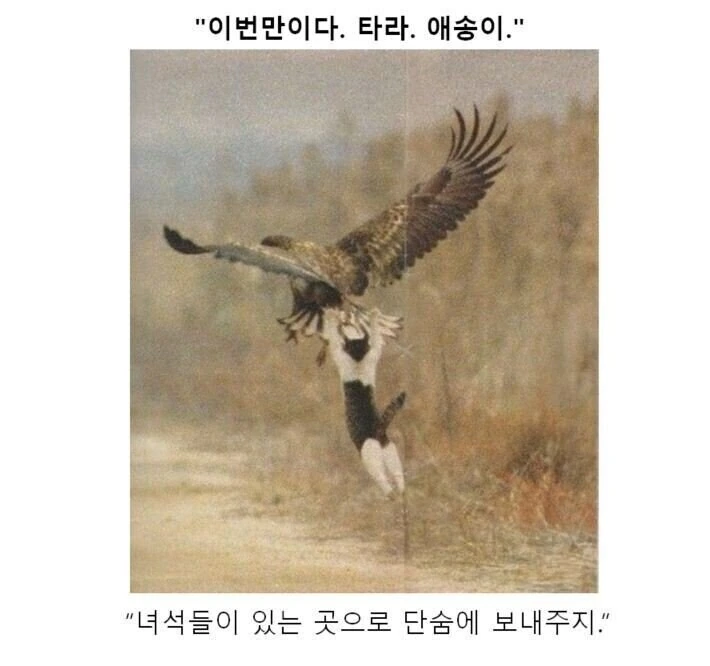 만화대사 클리셰 모음 - 이미지 18