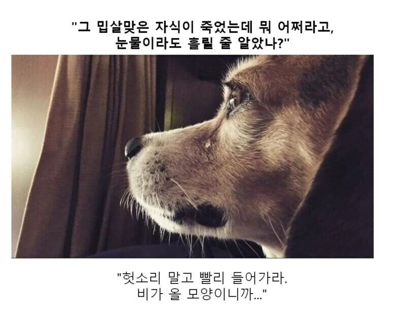 만화대사 클리셰 모음 - 이미지 19