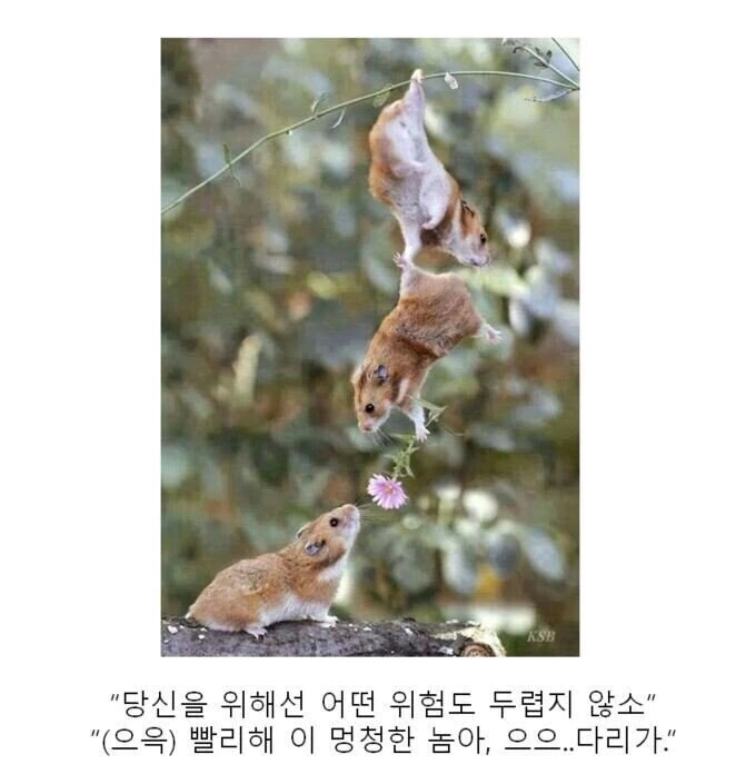만화대사 클리셰 모음 - 이미지 21