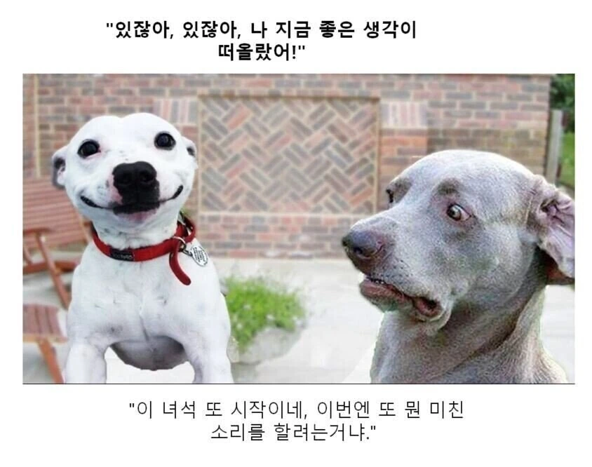 만화대사 클리셰 모음 - 이미지 22