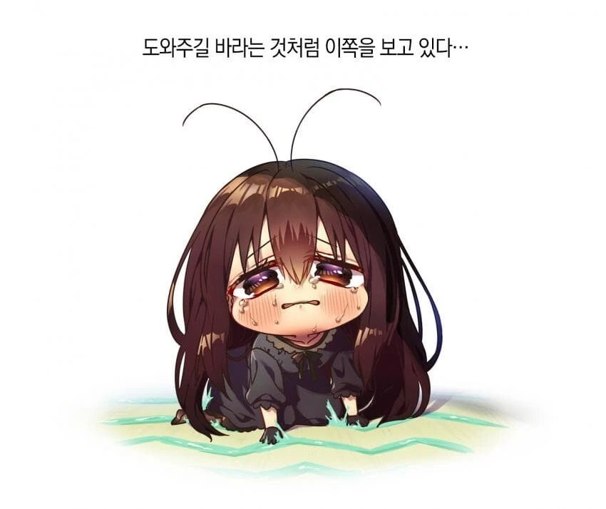 바퀴벌레 바이럴 만화