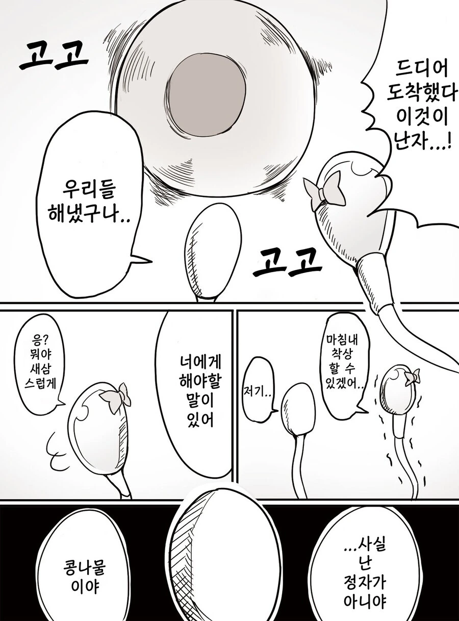 ㅇㅎ)난자의 앞에 다다른 두개의 정자.manga