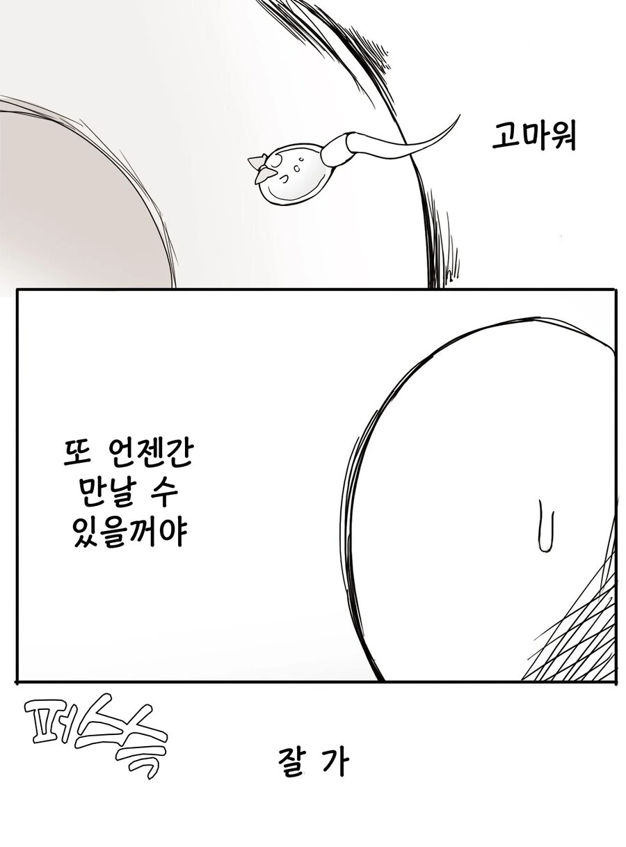 ㅇㅎ)난자의 앞에 다다른 두개의 정자.manga - 이미지 5