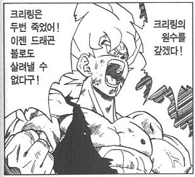 드래곤볼) 크리링은 보지 못한 것 - 이미지 4