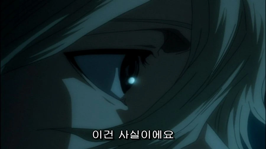 블리치) 부정못하는 사실이었던 이유 jpg. - 이미지 13