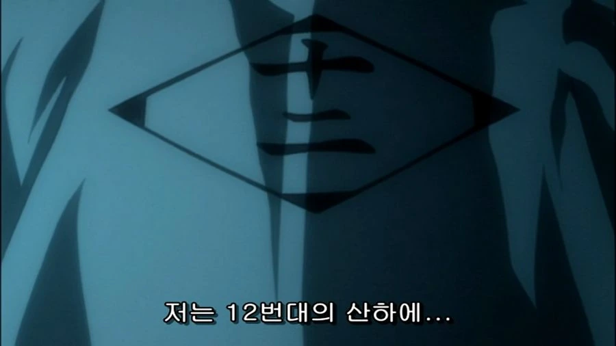블리치) 부정못하는 사실이었던 이유 jpg. - 이미지 14