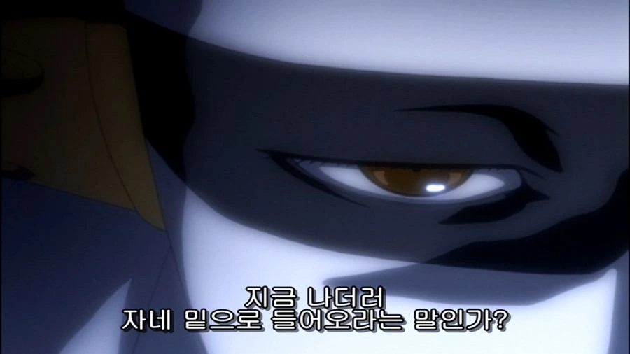 블리치) 부정못하는 사실이었던 이유 jpg. - 이미지 18