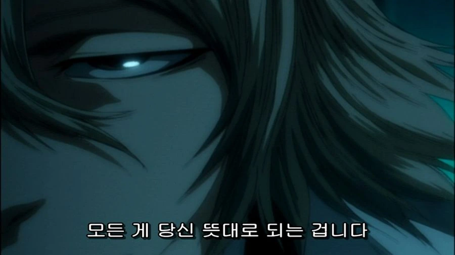 블리치) 부정못하는 사실이었던 이유 jpg. - 이미지 22