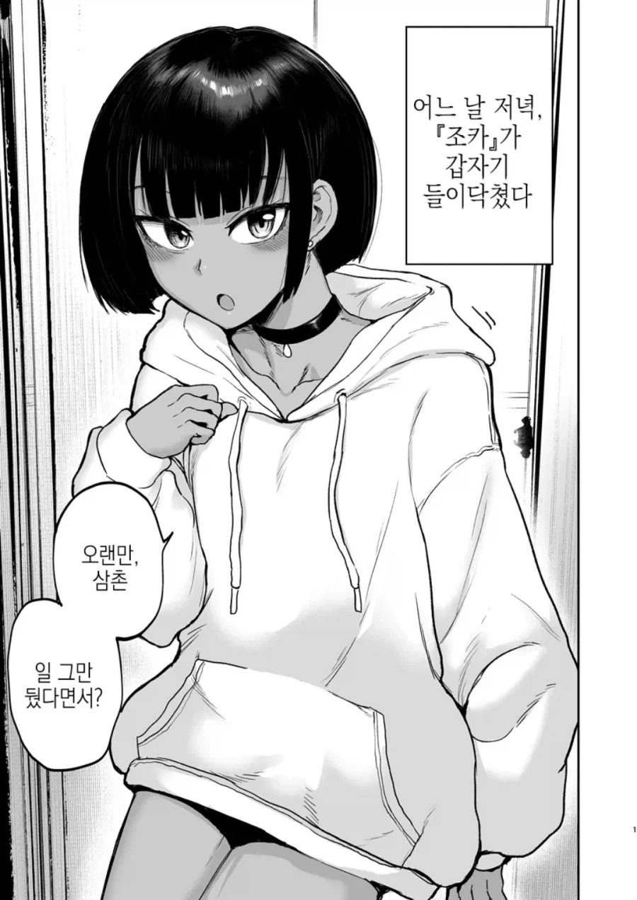 ㅎㅁ) 집에 조카가 방문하는 manhwa