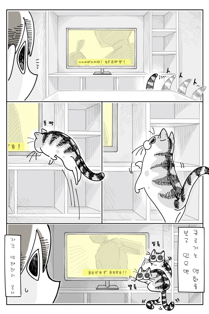 고양이가 리얼하게 귀여운.manhwa - 이미지 5