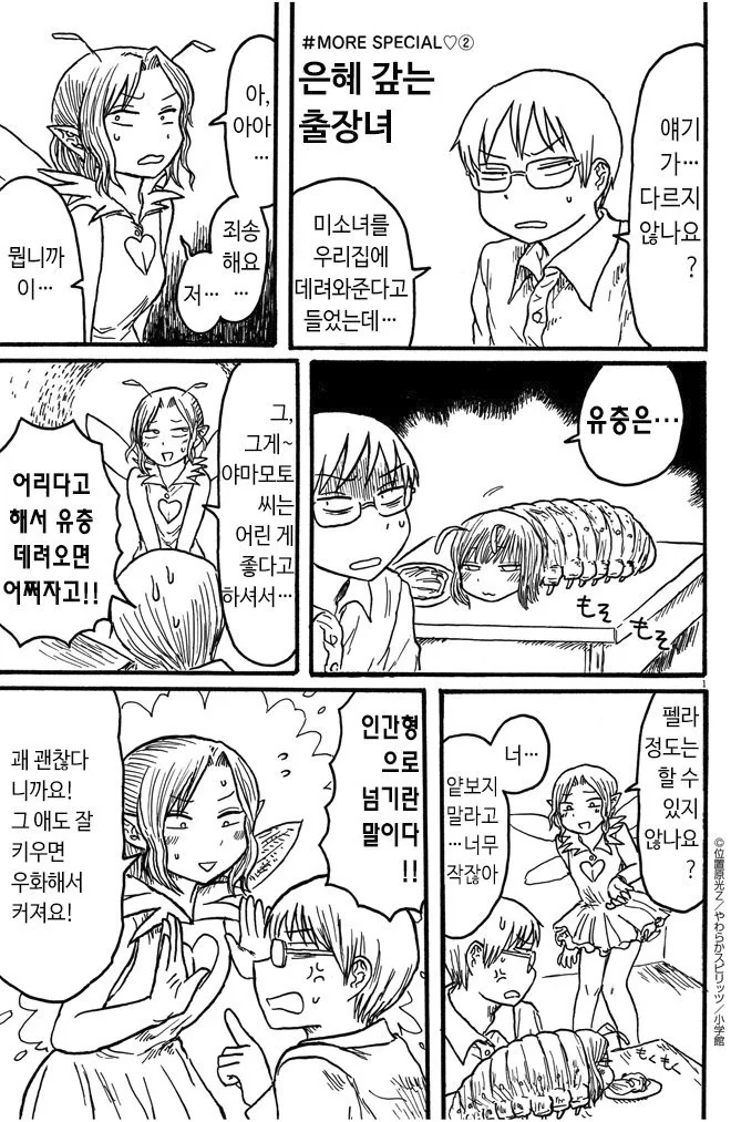어린 요정 키잡하는 만화