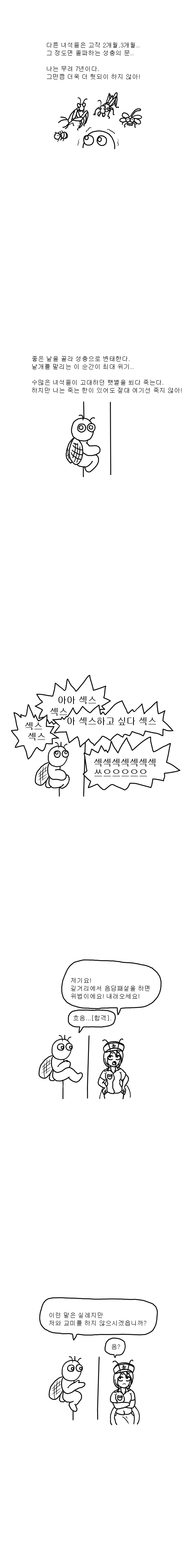 동물들의 특이한 짝짓기 만화.manhwa - 이미지 3