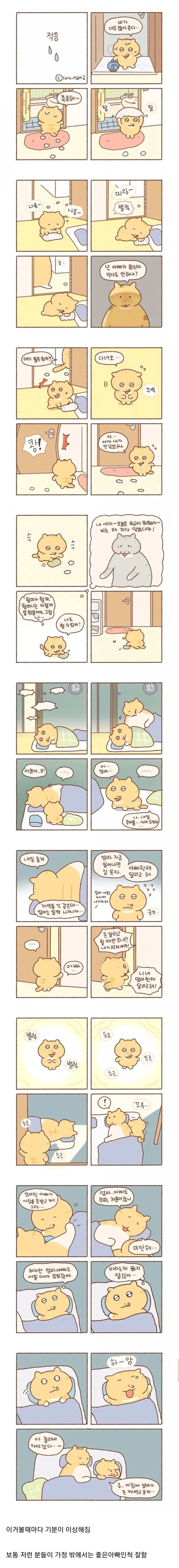 아기 고양이와 부모님 만화