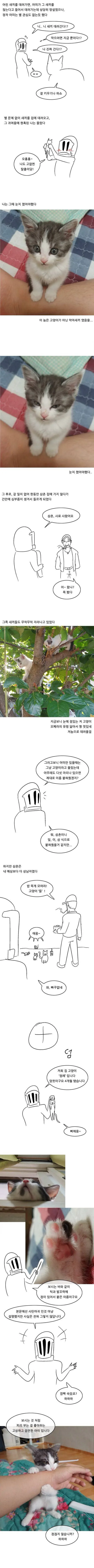 경상도 삼촌이 고양이 키우는 만화.manwha - 이미지 2
