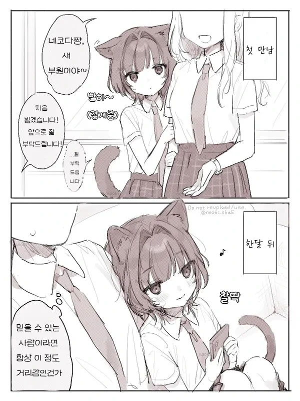 가리감이 0과 100 밖에 없는 고양이 만화