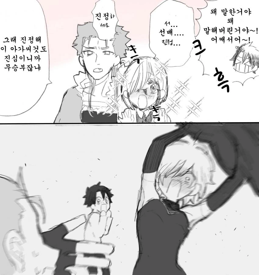 FGO) 쿠훌린 페이스 학살하는 만화 - 이미지 4