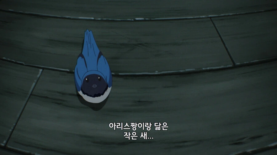 @) ???: 아리스쨩은 작은새, 미리아짱은 다람쥐, 프로듀서는~ - 이미지 6