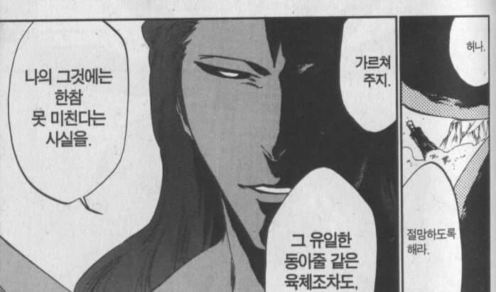 블리치)자신의 말을 스스로 증명하는 아이젠 - 이미지 5