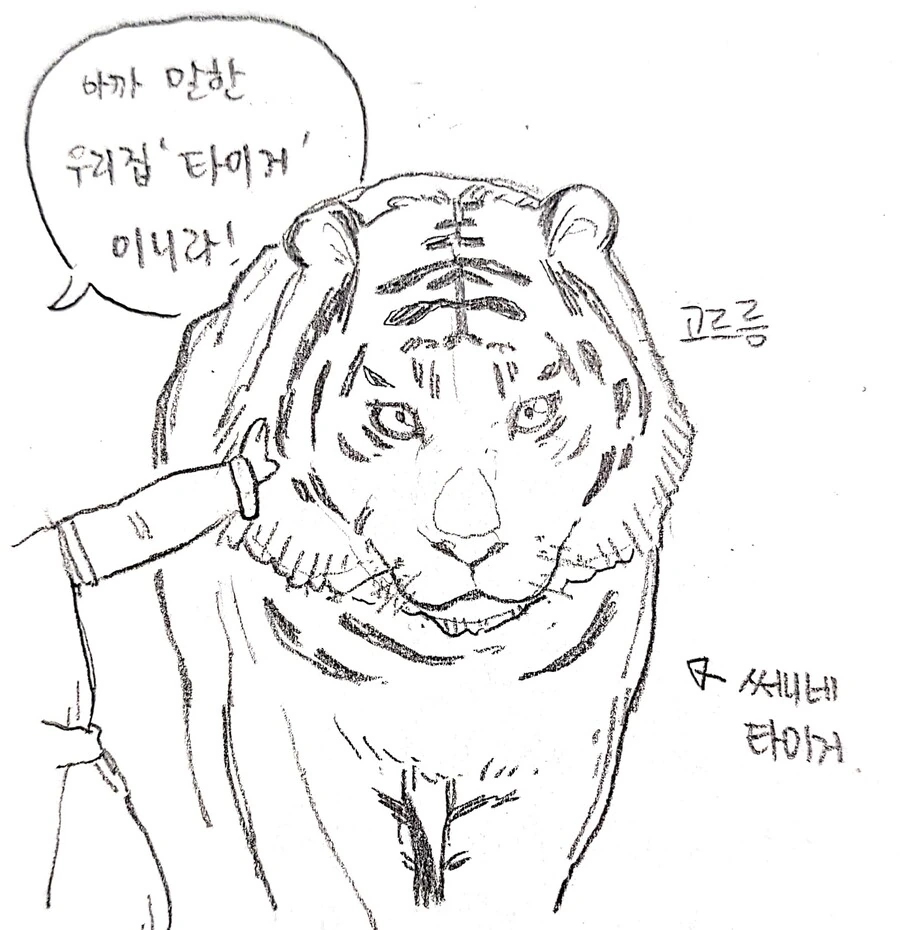 [라오진]세띠네 타이거 친구생기는 만화 - 이미지 3