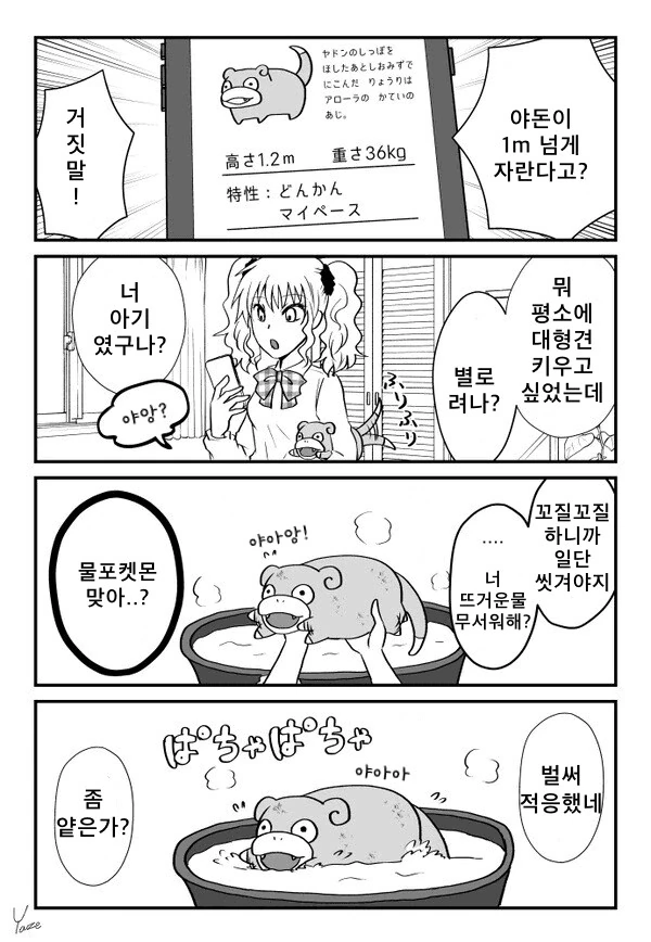 갸루와 야돈1 - 이미지 3