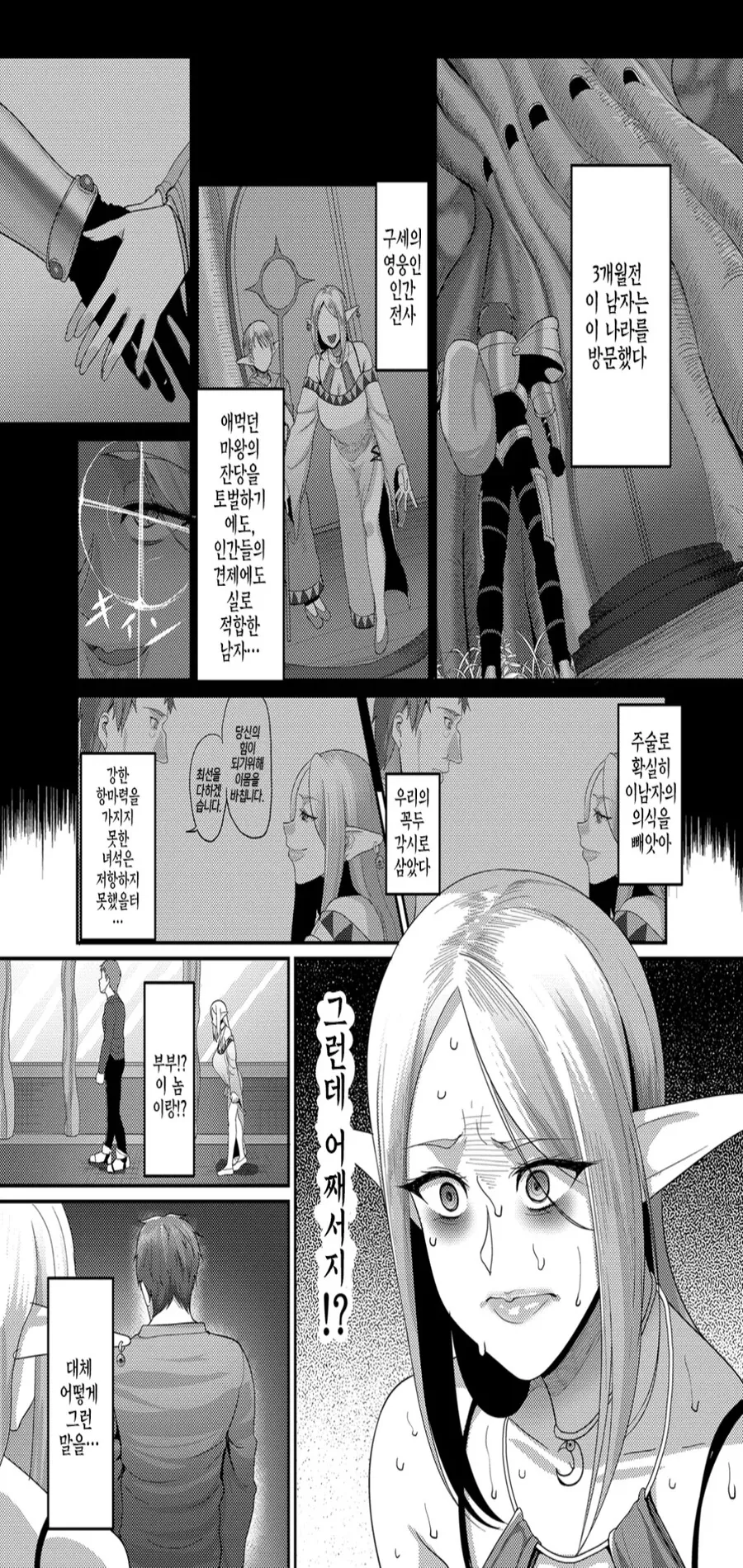 엘프들의 왕위로 등극한 남자.manwha - 이미지 3