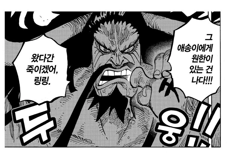 원피스) 카이도 : 오지마라고 했다.누나.... - 이미지 2