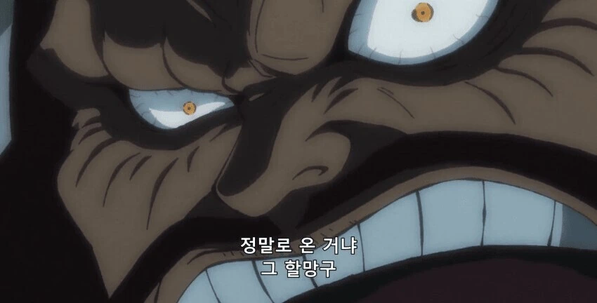원피스) 카이도 : 오지마라고 했다.누나.... - 이미지 4