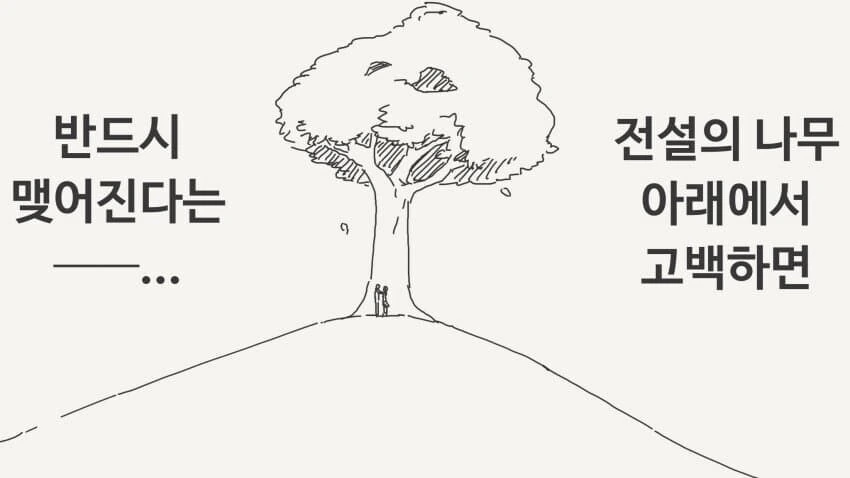 전설의 나무 아래에서 고백하는 만화