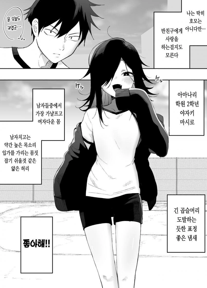 나는 딱히 호모가 아니다.manga