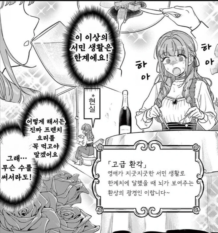 부자들에게만 보이는 환각