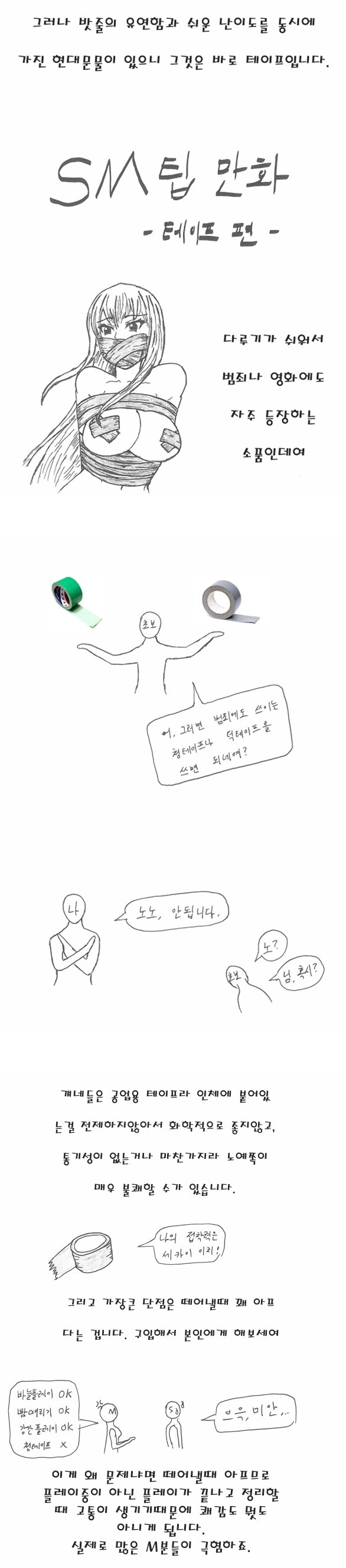 올바른 SM플레이 하는법 교육 만화.manwha - 이미지 2