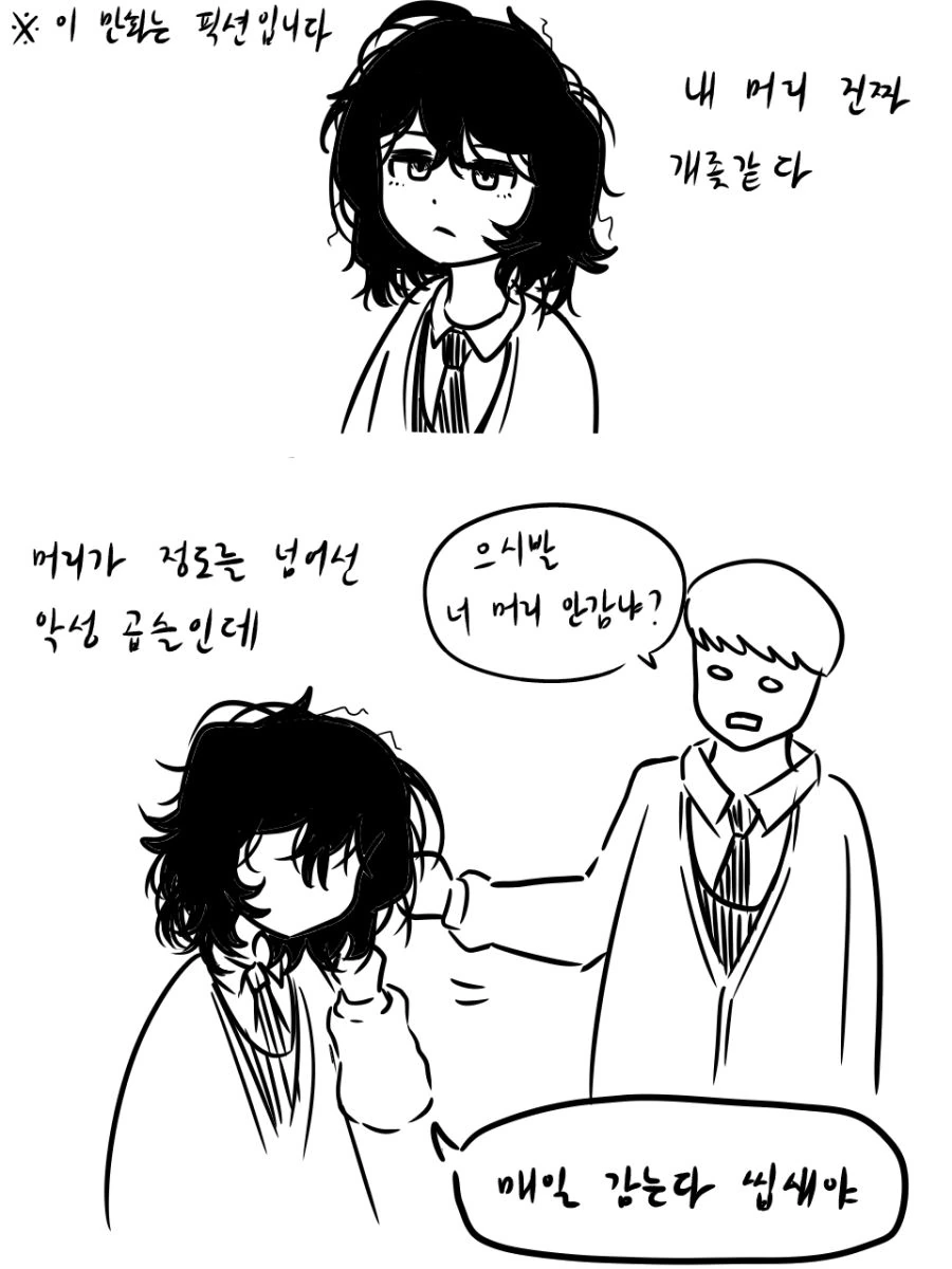 곱슬머리가 ㄲㅊ털같아서 짜증나는 고등학생 만화
