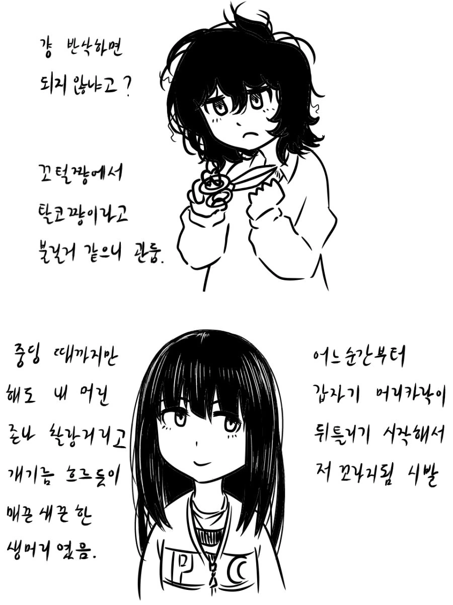 곱슬머리가 ㄲㅊ털같아서 짜증나는 고등학생 만화 - 이미지 3