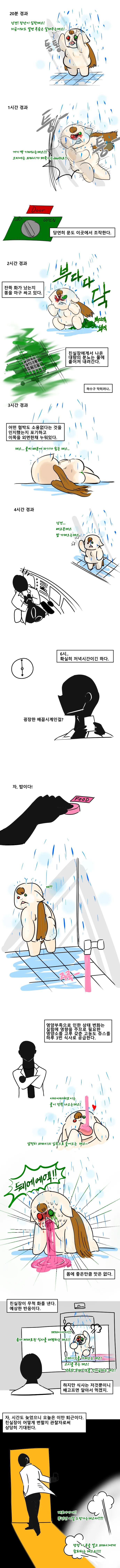 3.1특집) 참피실험 - 물에 장시간 ㄴㅊ된다면? - 이미지 4