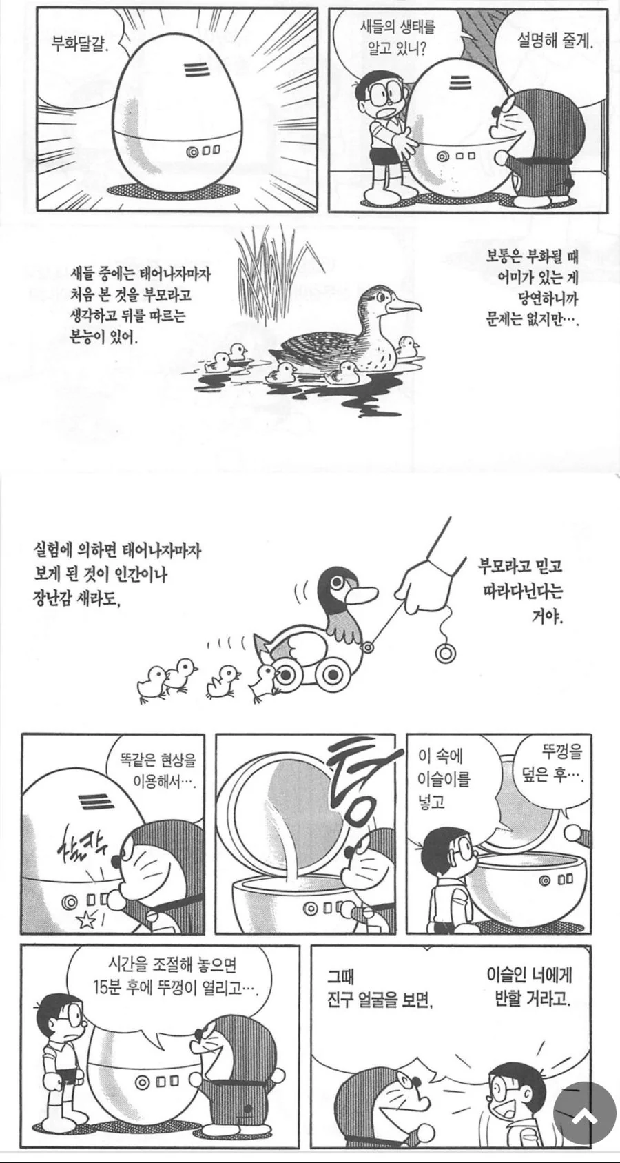 납치/감금/세뇌/ㅈㄱ/유아퇴행.manga