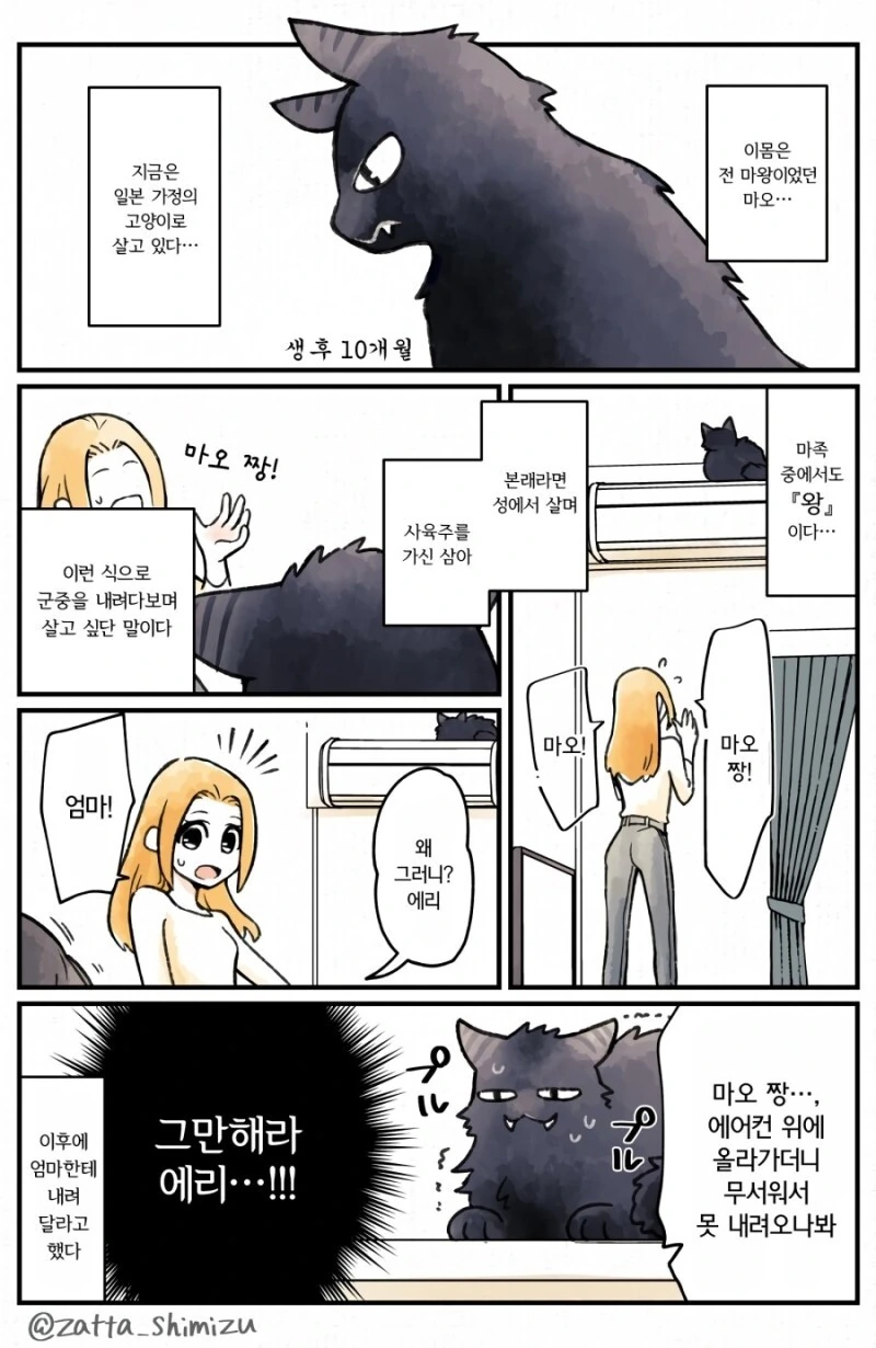 고양이로 전생한 마왕.manga - 이미지 3