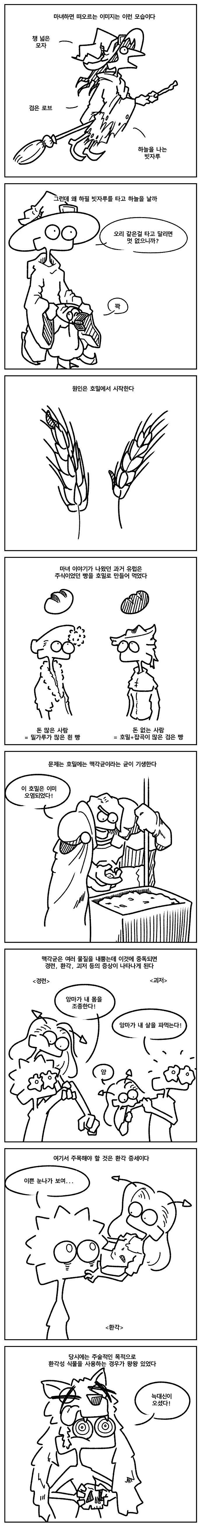마녀들은 왜 빗자루를 타고 다닐까.manhwa