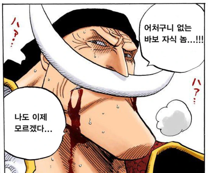 원피스)흰수염의 몸이 정상이었다면? - 이미지 14