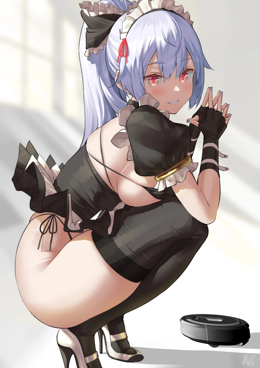 FGO) ㅂㅋㄴ 메이드 토모에고젠