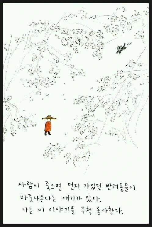 반려동물 마중 만화 뒷부분