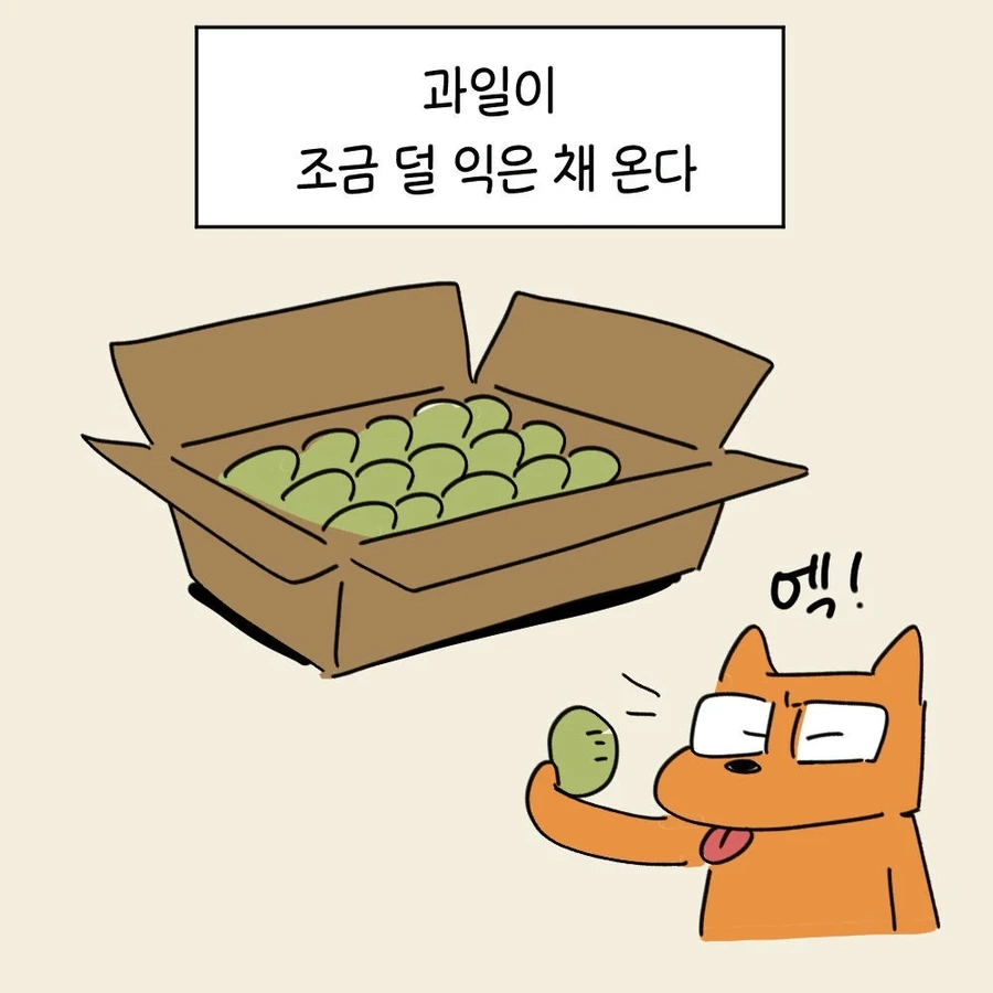 윈도우 업데이트도 후숙이 필요한 .manwha - 이미지 2