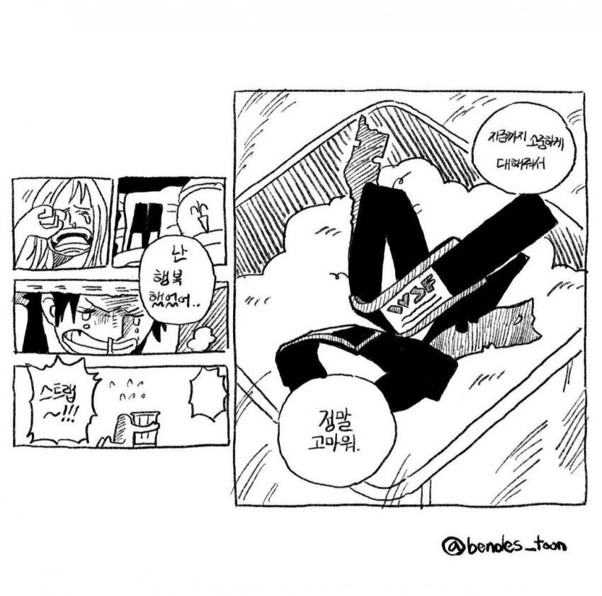 헤비 헬스인들의 원피스 밈 만화.manwha - 이미지 5