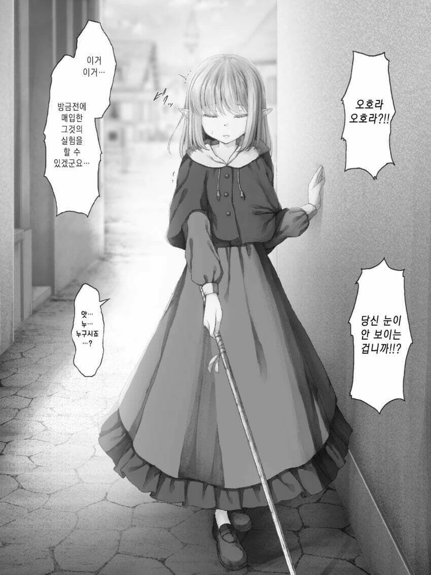 메챠쿠챠 강제로 당하는 장님 엘프.manga - 이미지 2