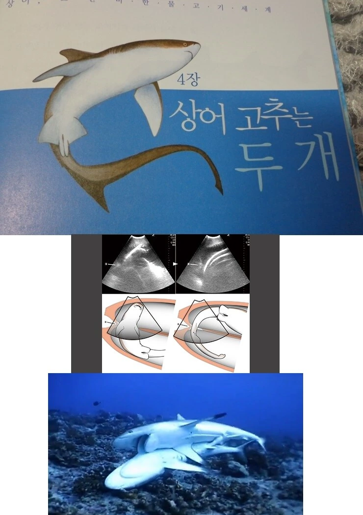 약1후)두개의 자궁이 큥큥대는 만화.manhwa - 이미지 3