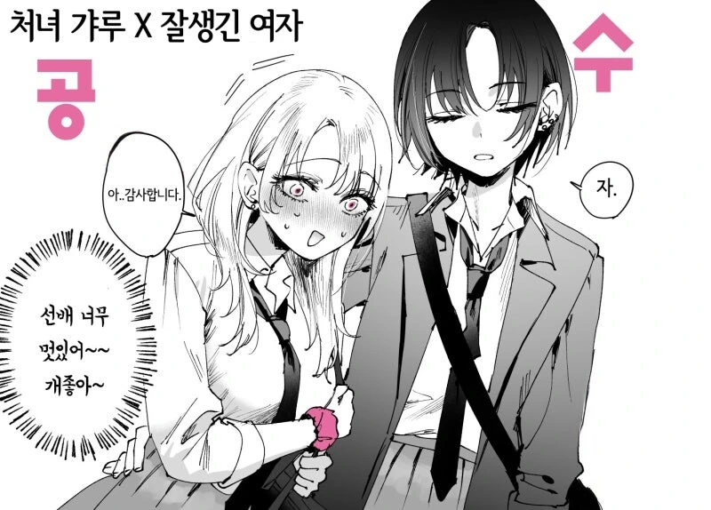 백합으로 보는 공수 유형 만화