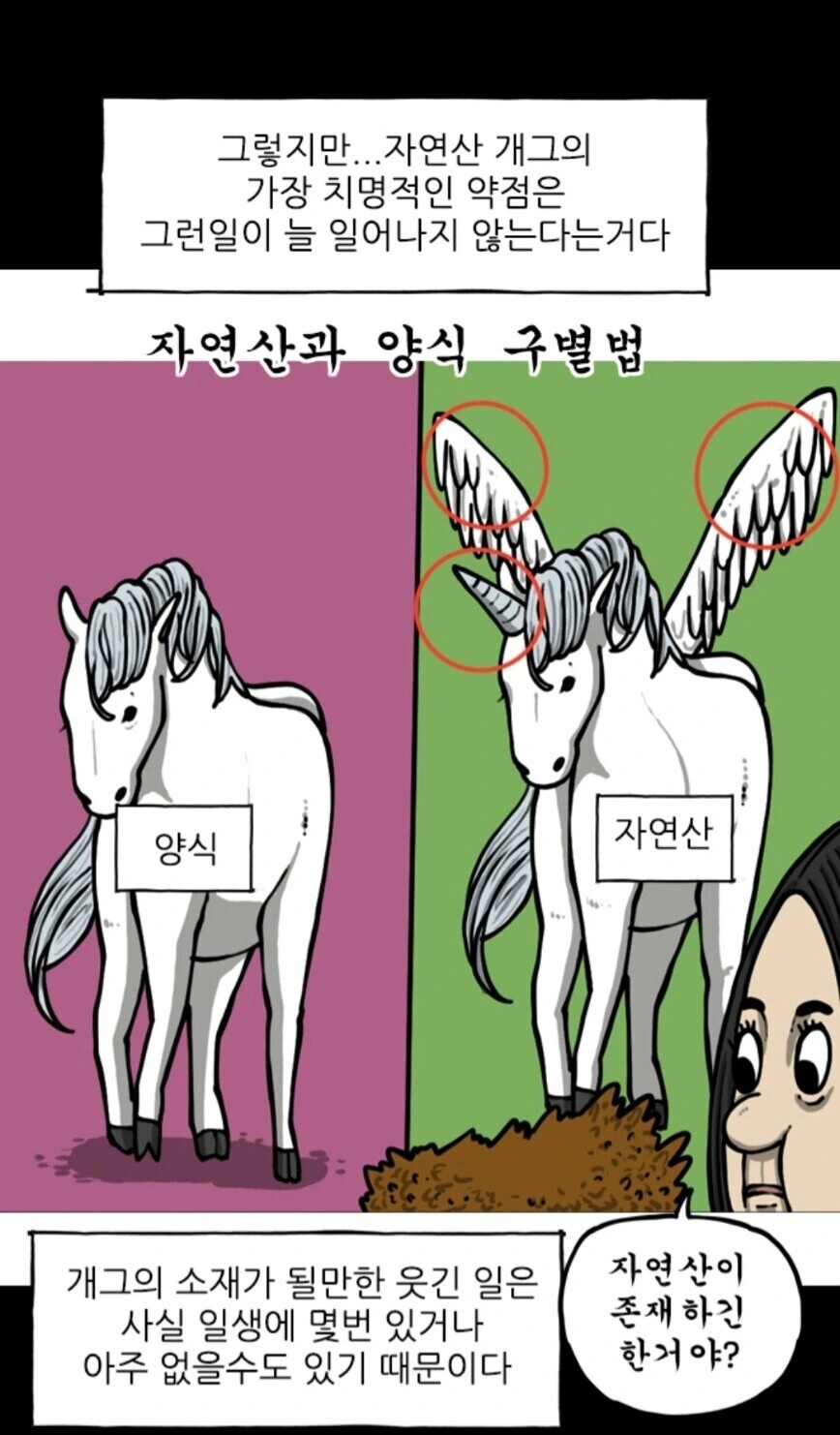 조석에 생각하는 일상 개그 만화의 문제점.manga - 이미지 3