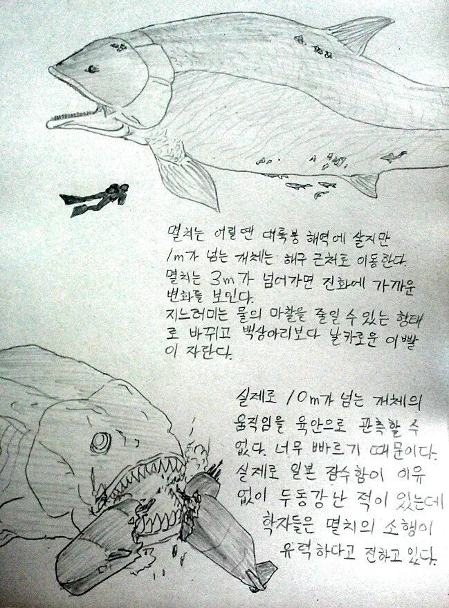 멸치의 신비.manga - 이미지 3