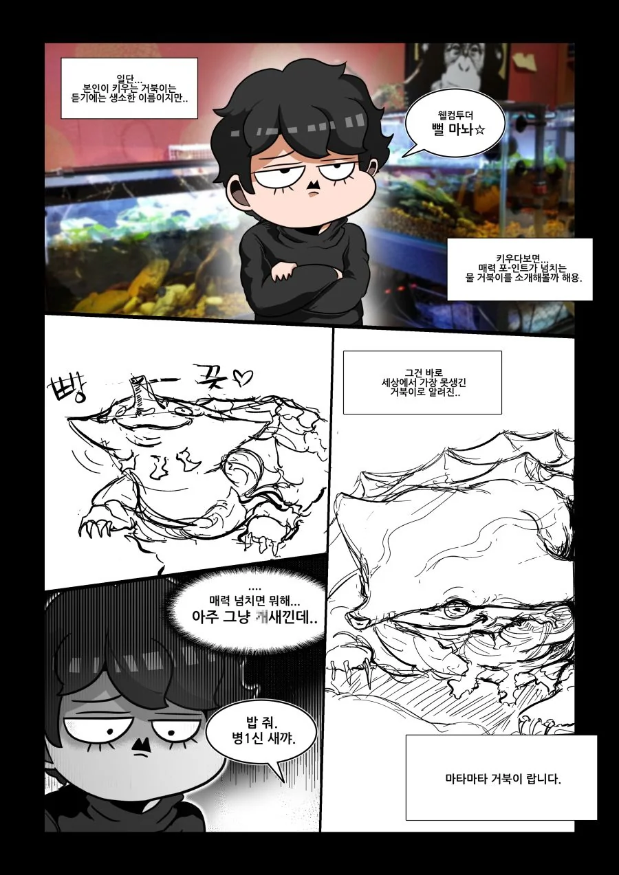 (뻘마놔) 마타마타거북 키우는 마놔 (15세 이용가)