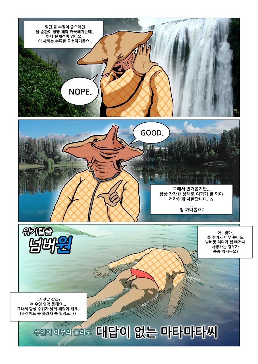 (뻘마놔) 마타마타거북 키우는 마놔 (15세 이용가) - 이미지 8